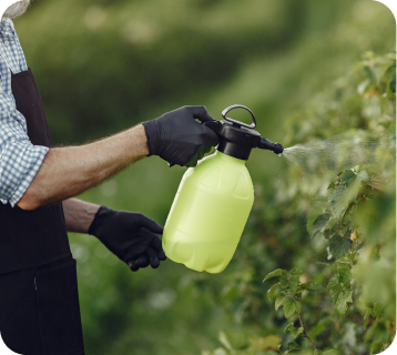 Agricultura avanzada
