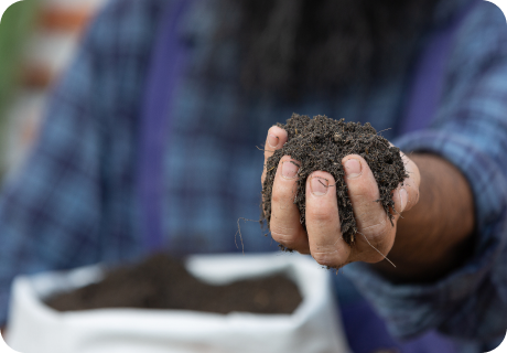 Circularidad y sostenibilidad