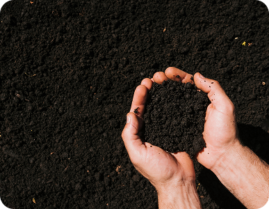 Cómo evaluar el potencial técnico de una biomasa agroindustrial