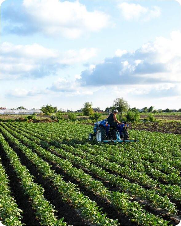 Consultoría técnica especializada