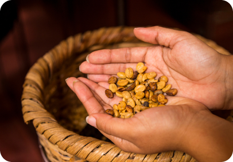 Diagnóstico Técnico