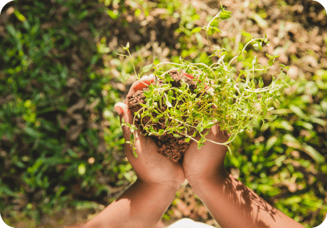 Economía Circular en Acción