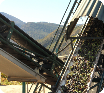 Energía y bioprocesos