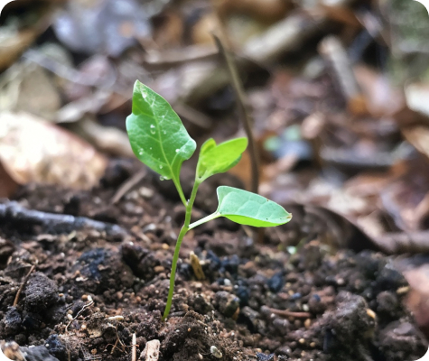 Integramos investigación académica con ejecución industrial