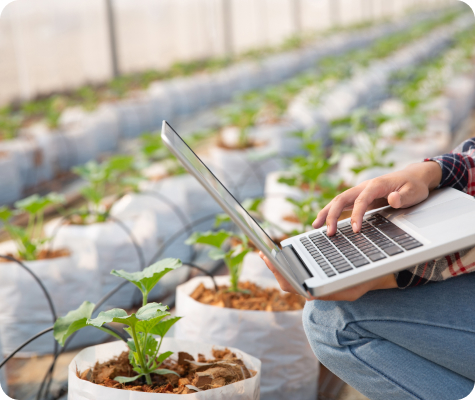 Integramos modelado computacional, caracterización experimental y validación de desempeño