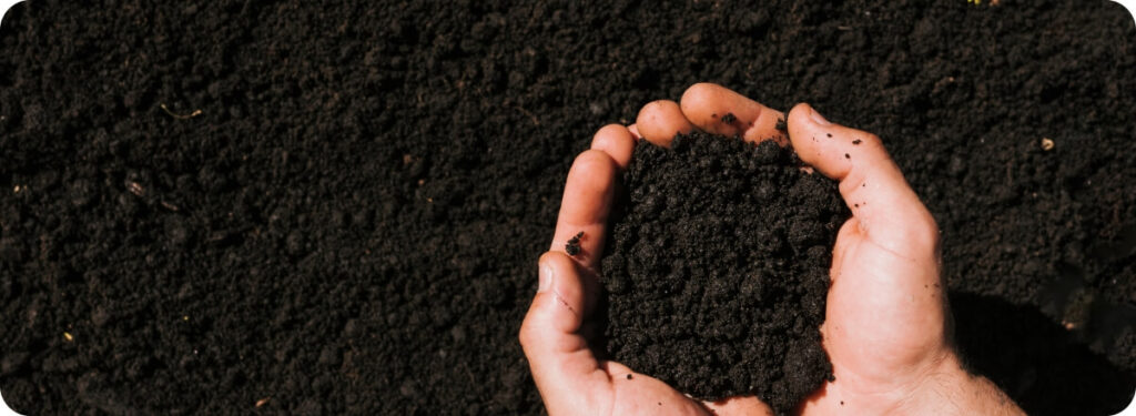 Portada Cómo evaluar el potencial técnico de una biomasa agroindustrial