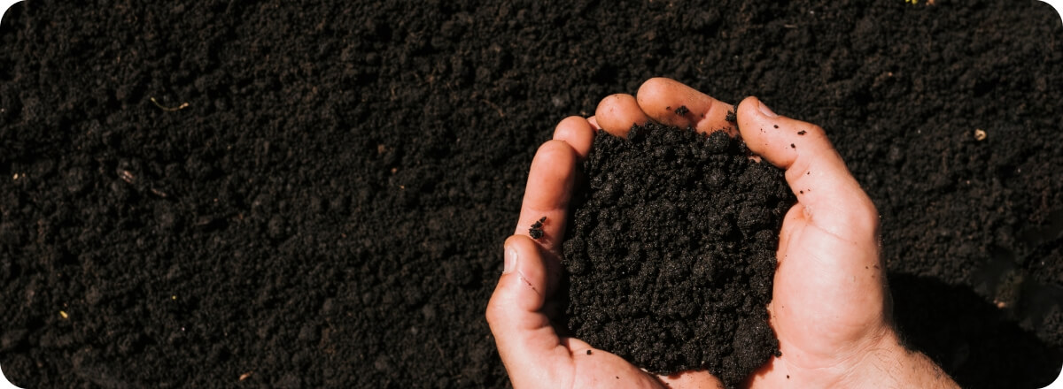 Portada Cómo evaluar el potencial técnico de una biomasa agroindustrial