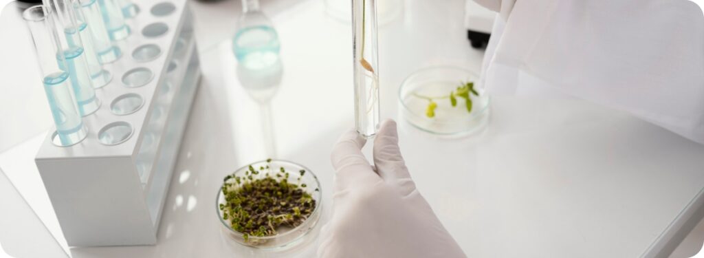 Portada De residuo a insumo estratégico