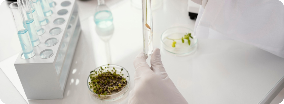 Portada De residuo a insumo estratégico