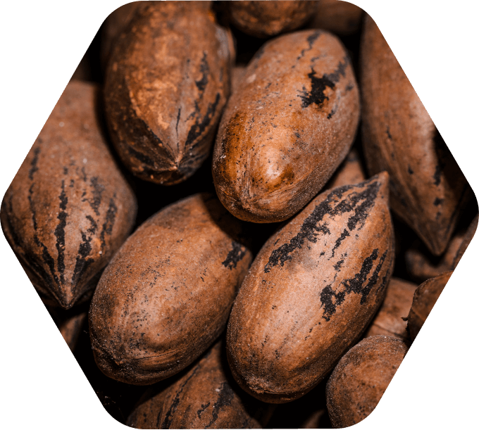 Procesos De diagnóstico a resultados medibles