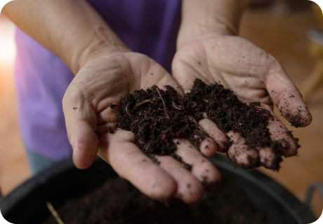 Transferencia de Conocimiento